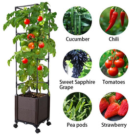 Antmoilios self-watering tomato planter reservoir keeps soil evenly moist for healthy growth.