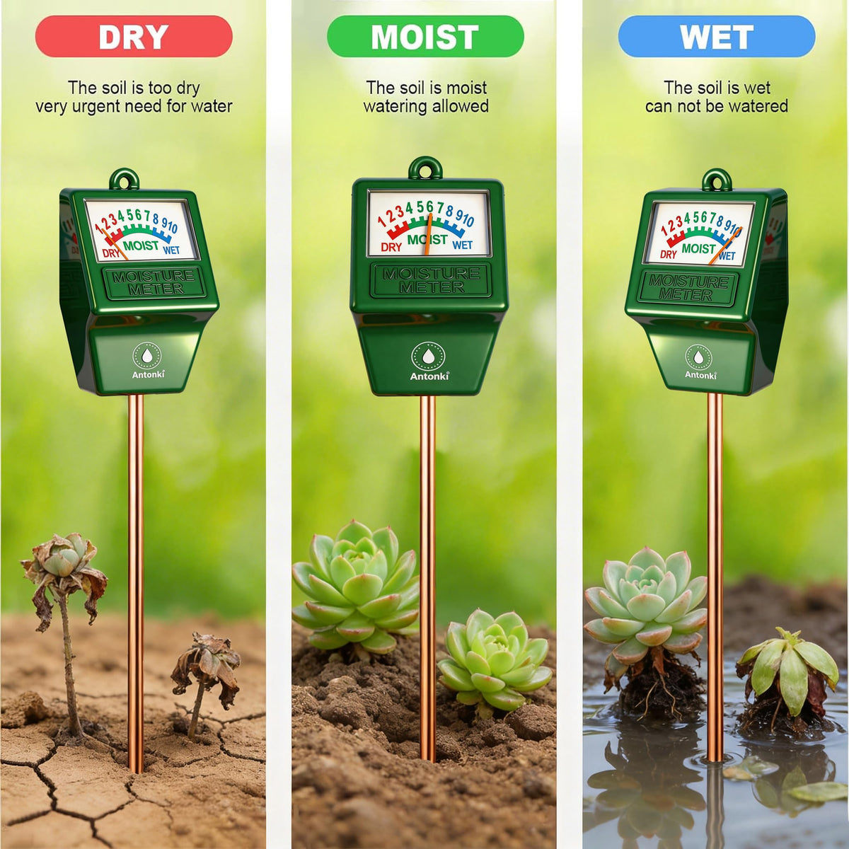 Antonki easy three-step use guides correct watering decisions