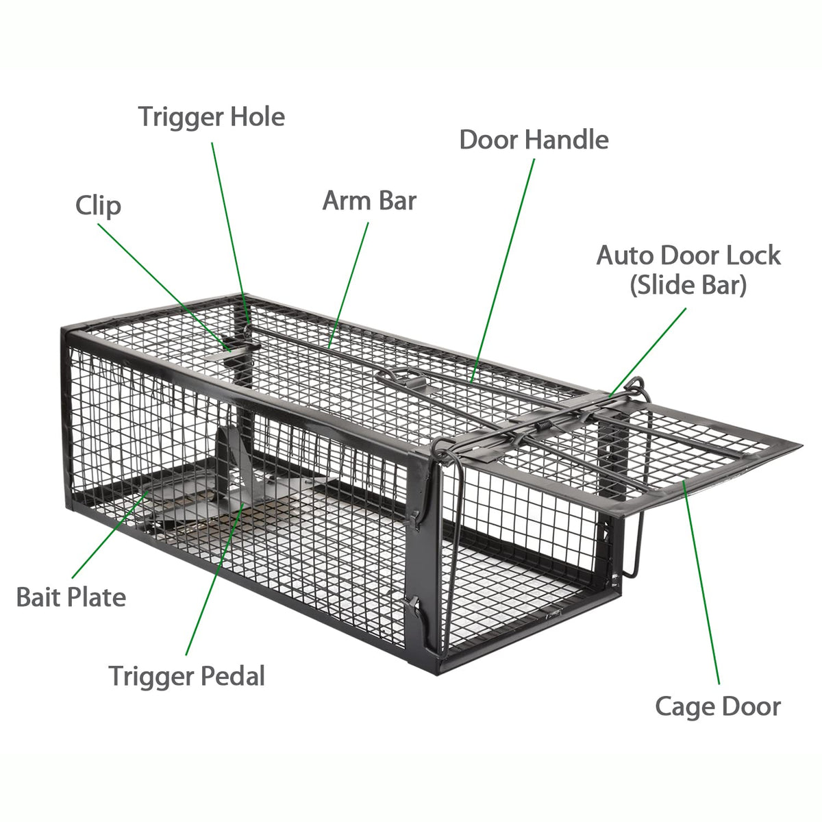 Anyhall live cage trap used indoors, versatile protection against small pests.