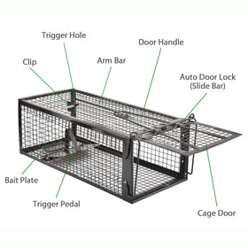 Anyhall live cage trap used indoors, versatile protection against small pests.