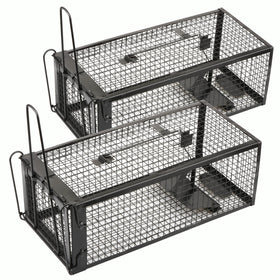 Anyhall live cage trap shown outdoors, ready for humane capture and relocation.