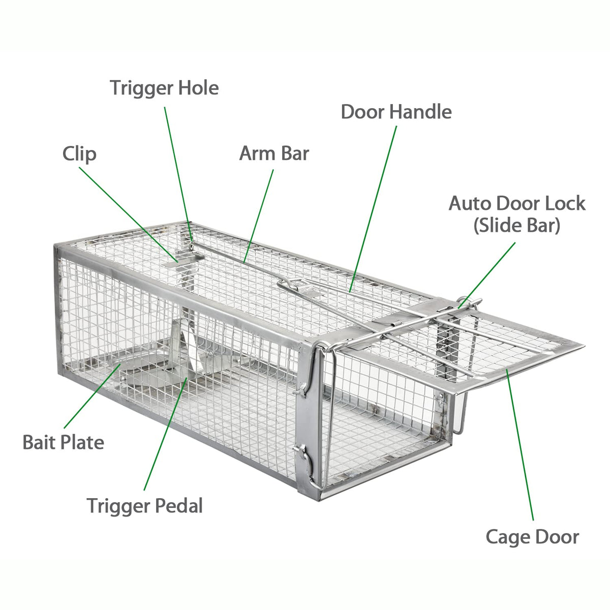 Anyhall two-pack trap setup lets you monitor multiple areas.