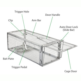 Anyhall two-pack trap setup lets you monitor multiple areas.