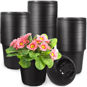 Anyumocz 60pcs seedling cups in black; versatile for seedlings and cuttings