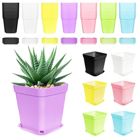 Anyumocz 70pcs 3inch colorful square pots for compact indoor gardens.