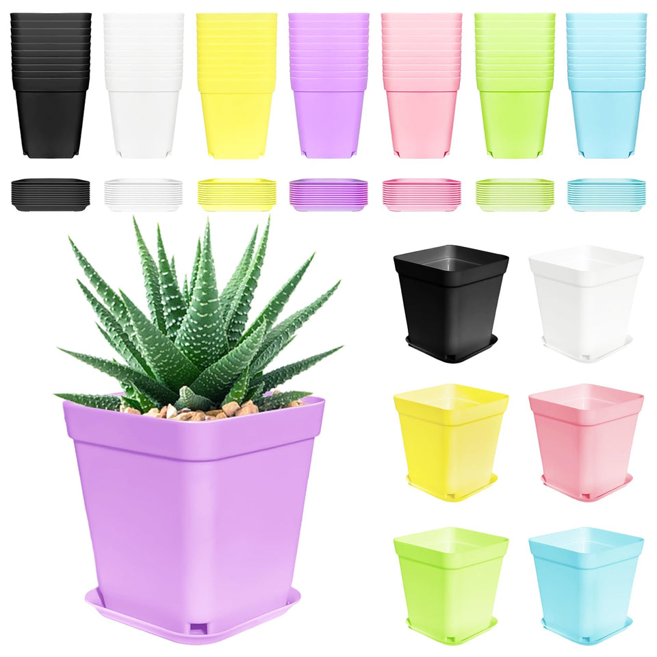 Anyumocz 70pcs 3inch colorful square pots for compact indoor gardens.