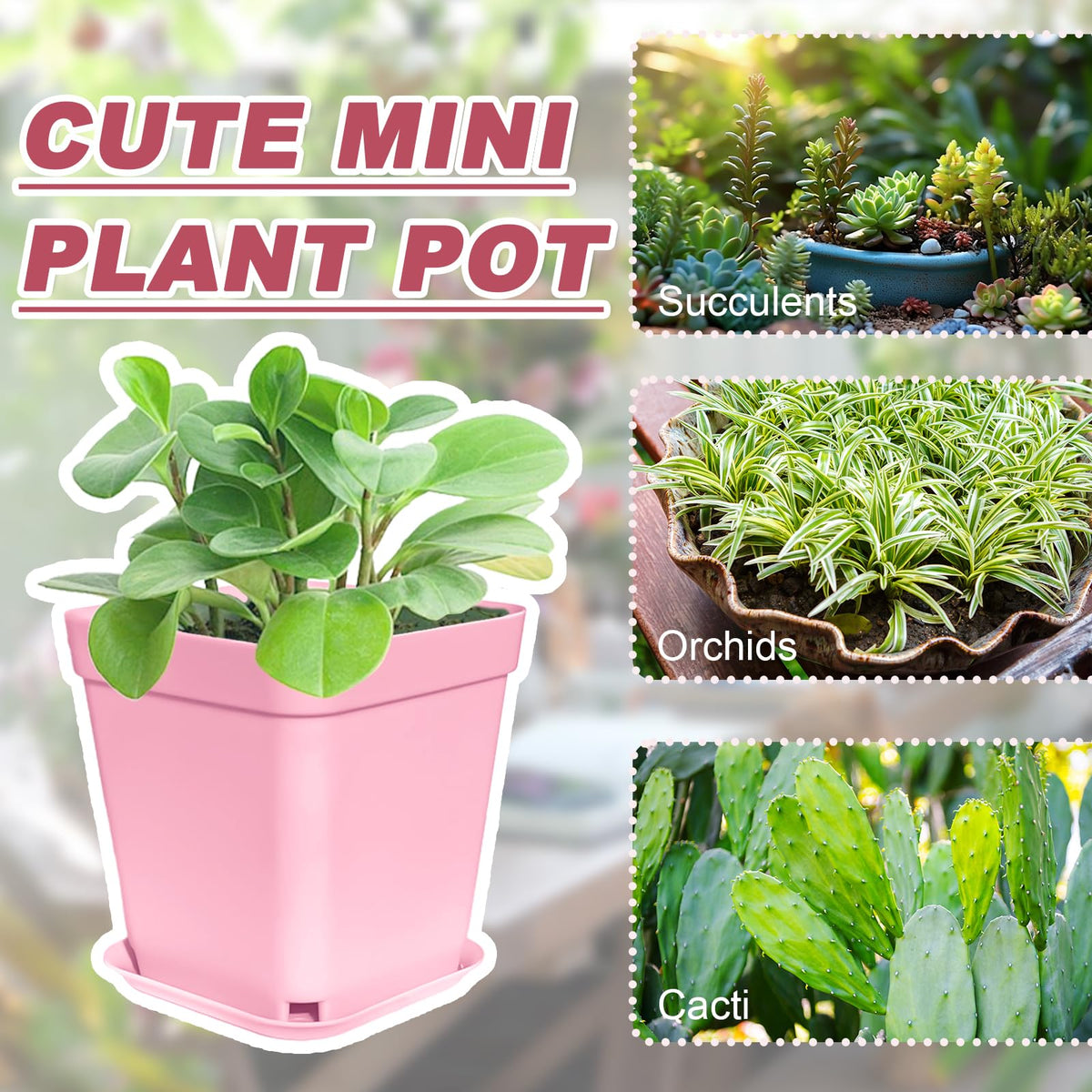 Anyumocz compact plant display for herbs, succulents, and small plants.