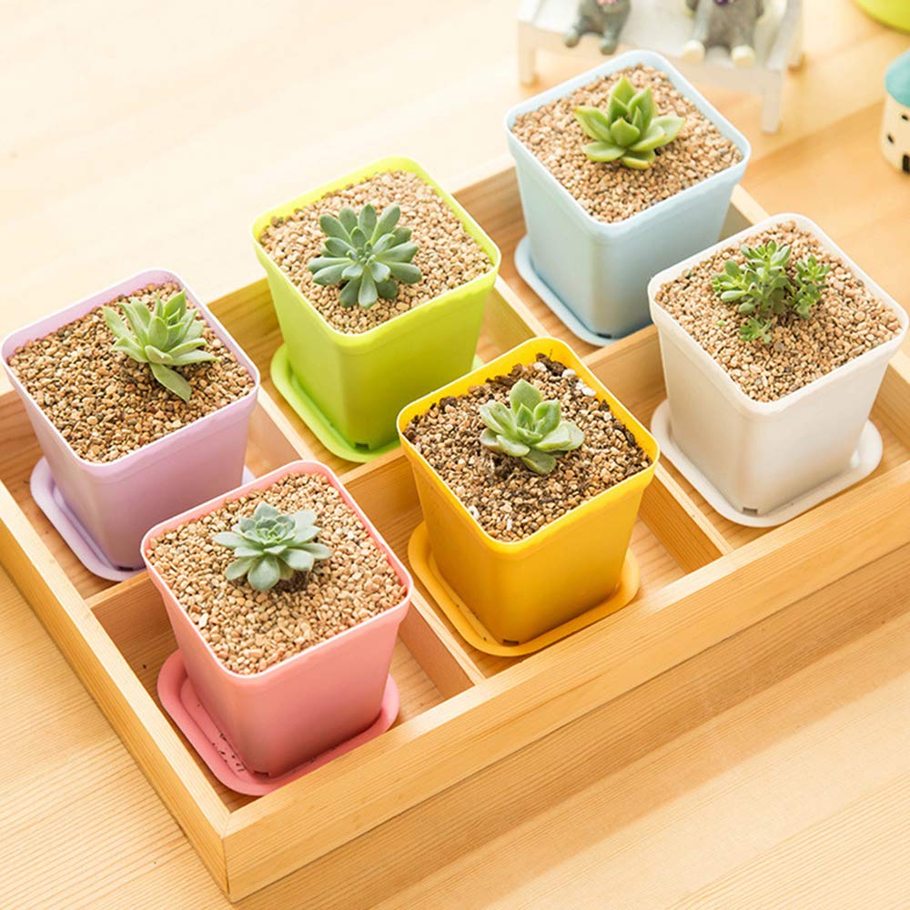Anyumocz herb and vegetable seed-start pots keep kitchens organized
