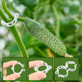 Anyumocz hollow carving aids airflow for healthier plants in outdoor setups.