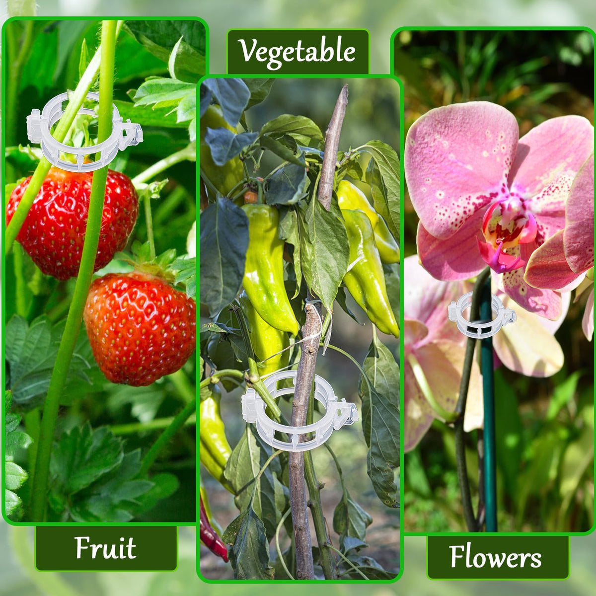 Anyumocz indoor-outdoor clips keep tomatoes and peppers upright in any space.