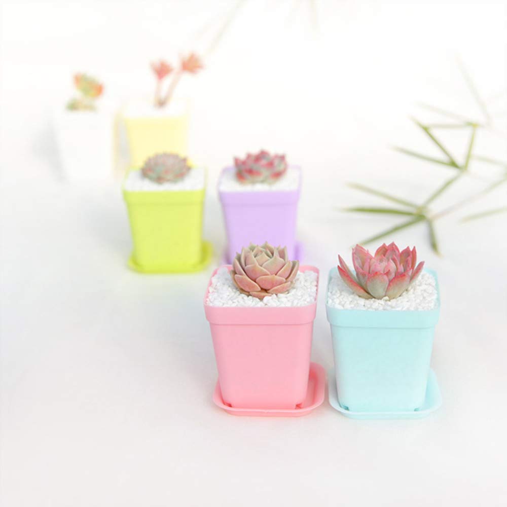 Anyumocz indoor-outdoor pots suited for offices, balconies, and windowsills with style