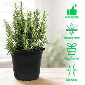 Anyumocz seedling pots suitable for yard, garden, porch and greenhouse