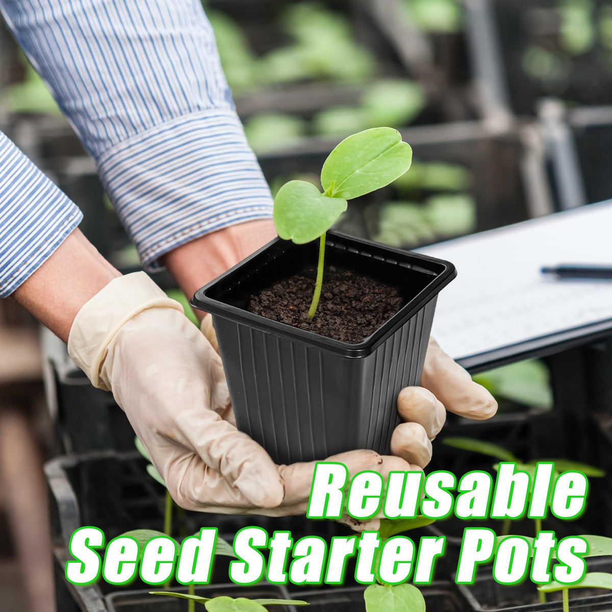 Anyumocz label-ready seedling pot helps you organize garden starters.