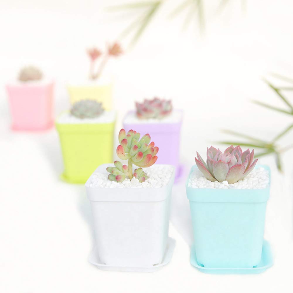 Anyumocz lightweight, durable pots handle daily use and relocation