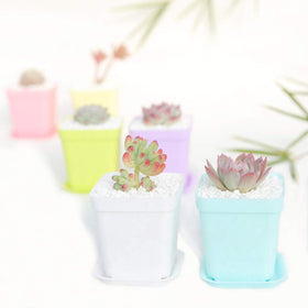 Anyumocz lightweight, durable pots handle daily use and relocation