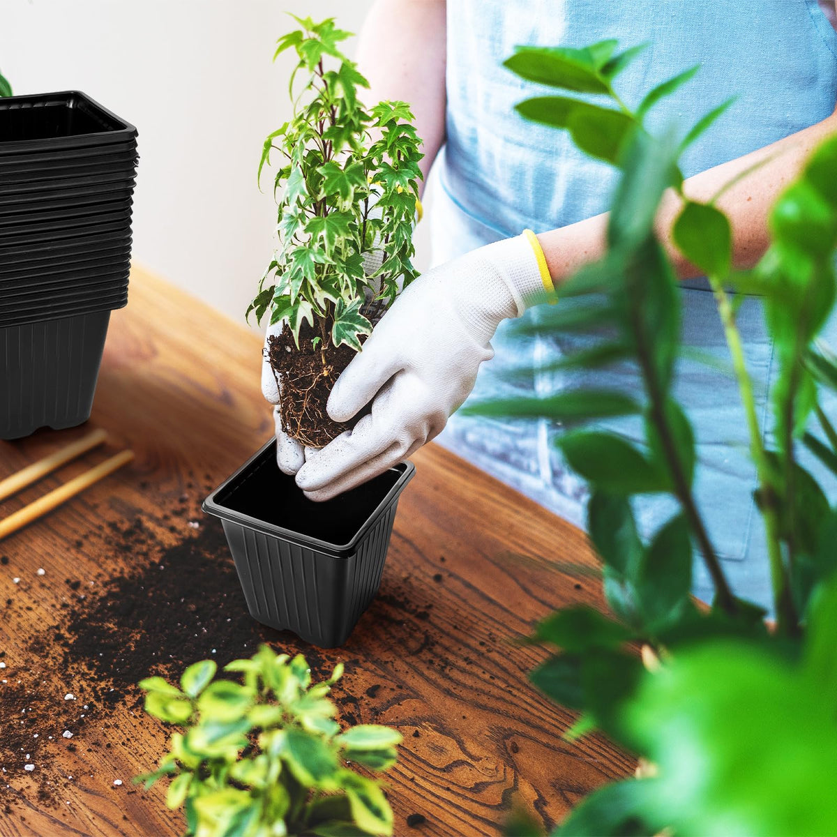 Anyumocz plant cuttings pot for efficient propagation and easy handling.