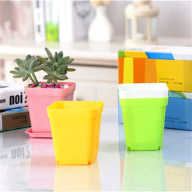 Anyumocz seedling pots with drainage holes promote root aeration