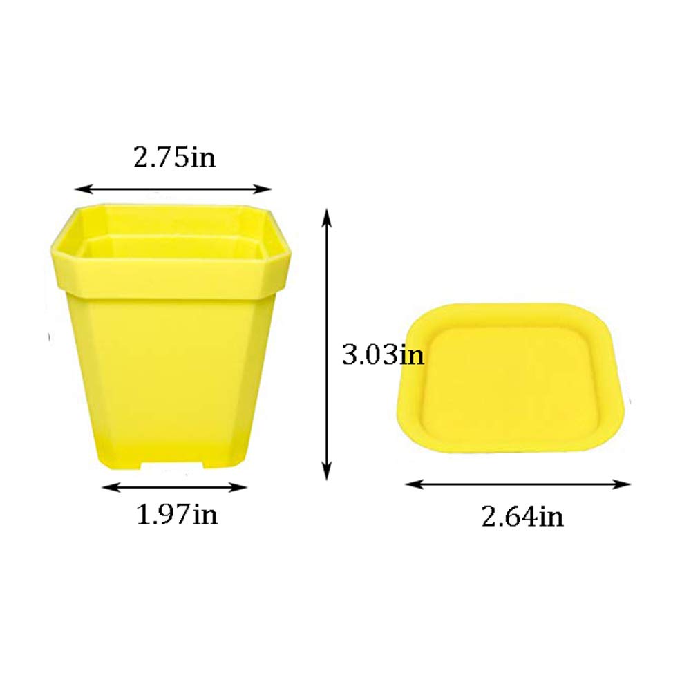 Anyumocz square pot with saucers for mess-free watering
