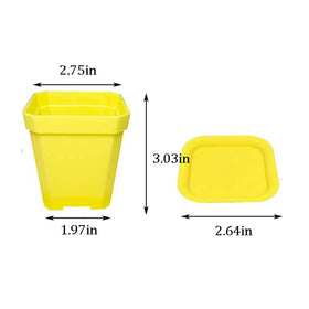 Anyumocz square pot with saucers for mess-free watering
