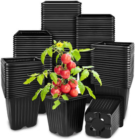 Anyumocz square seedling pot with drainage holes for healthy early root growth.