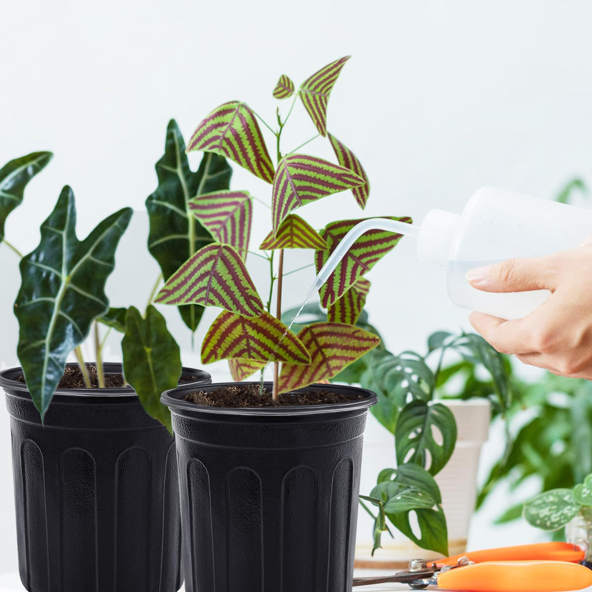 Anyumocz succulent seedling pot suitable for indoor or outdoor use