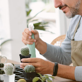 Anyumocz windowsill-ready pots for bright, effortless plant decor.