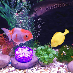 Anziner AAA battery-powered submersible light for easy outdoor use
