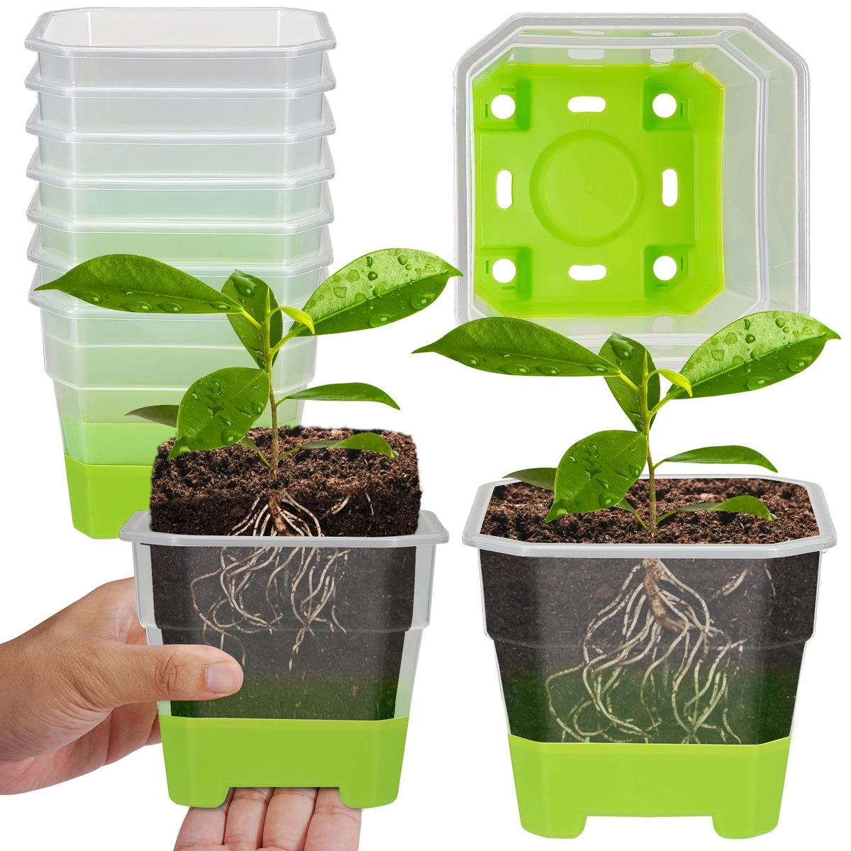 Aobiono clear nursery pot with silicone base for easy seedling removal