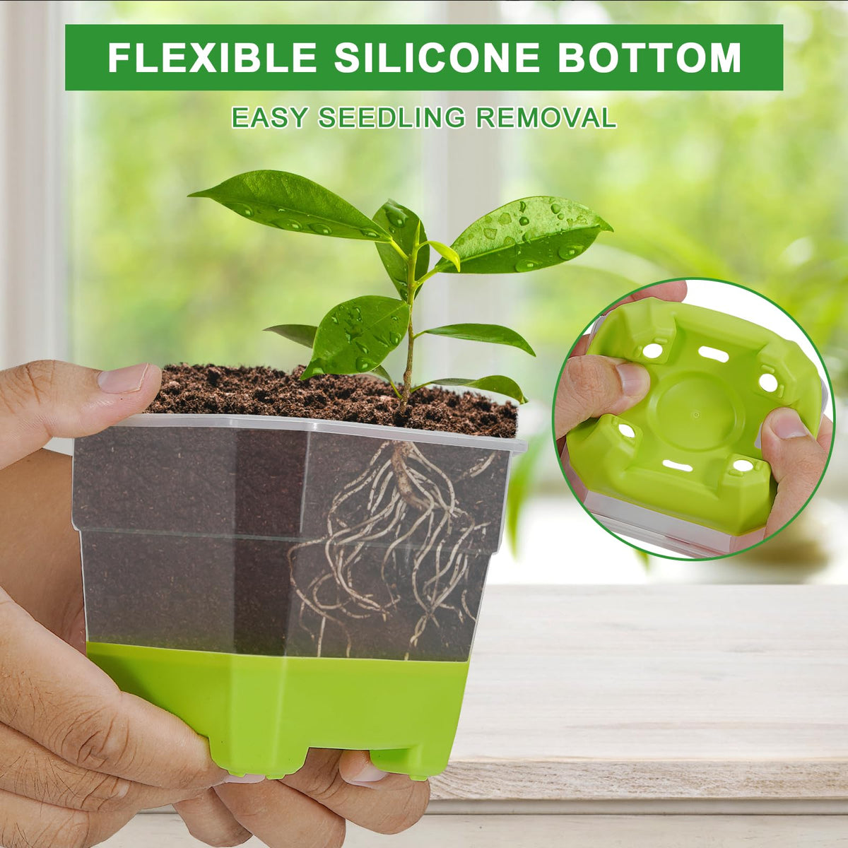 Aobiono transparent seed starter pot ideal for seedling monitoring