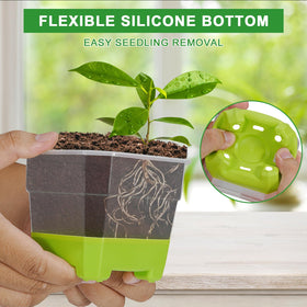 Aobiono transparent seed starter pot ideal for seedling monitoring