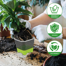 Aobiono growth-monitoring pot enabling root visibility and moisture checks