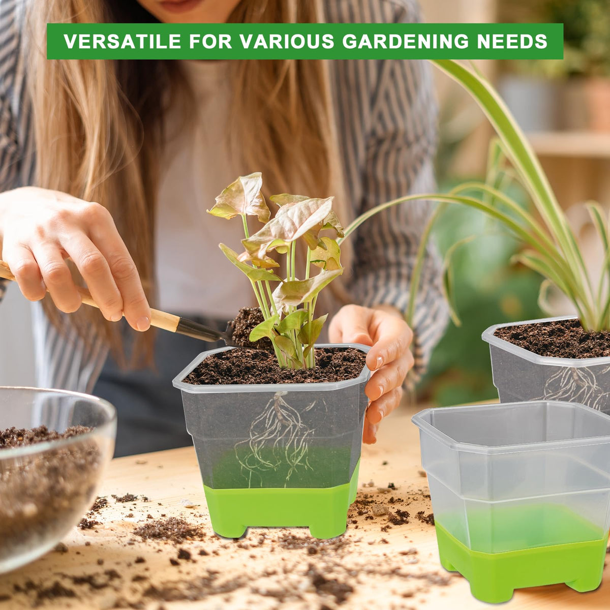 Aobiono versatile pot for seedlings, cuttings, and succulents