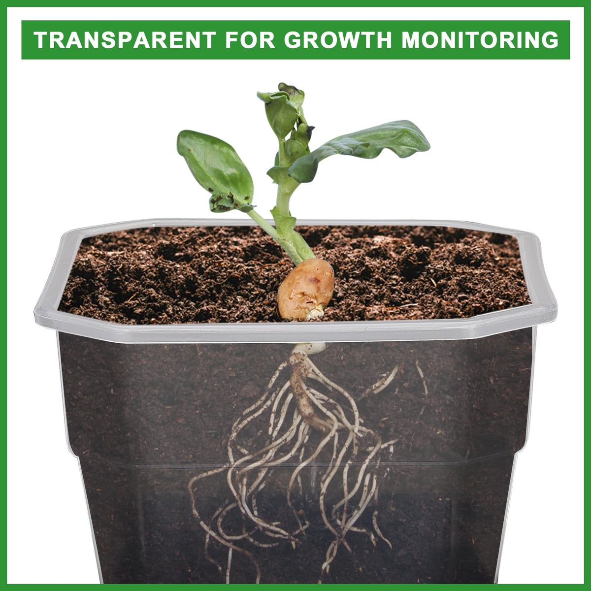 Aobiono silicone-base pot illustrating gentle seedling removal