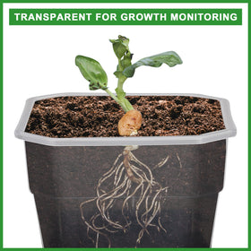 Aobiono silicone-base pot illustrating gentle seedling removal