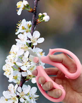 AOBYMIN safety cover protecting the pink scissors for safe storage