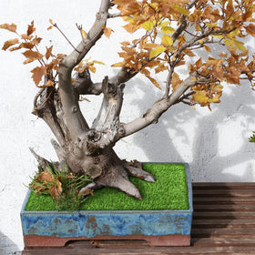 Aodaer realistic green grass appearance enhances spaces year-round.