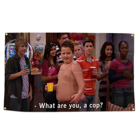 AOFDLAT Funny Flag Gibby 3x5 hung in a dorm or outdoor space