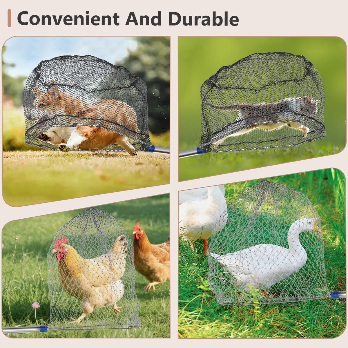 Aoiaute rigid gray net targets poultry like chickens, ducks, geese.