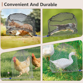 Aoiaute rigid gray net targets poultry like chickens, ducks, geese.