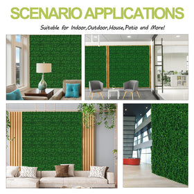 AOKIE dense hedge look provides a lush focal point for any setting.
