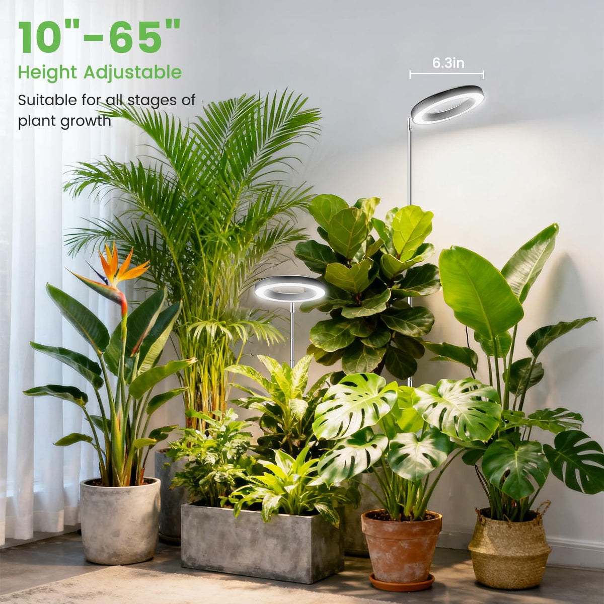 Aokrean ground stake stabilizing tall indoor plants
