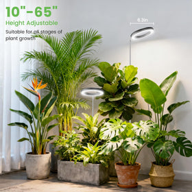 Aokrean ground stake stabilizing tall indoor plants