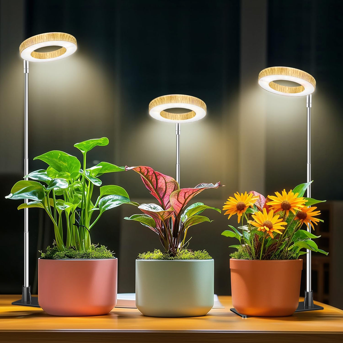 Aokrean Grow Light full spectrum LED panel supports indoor seedling growth and lush foliage