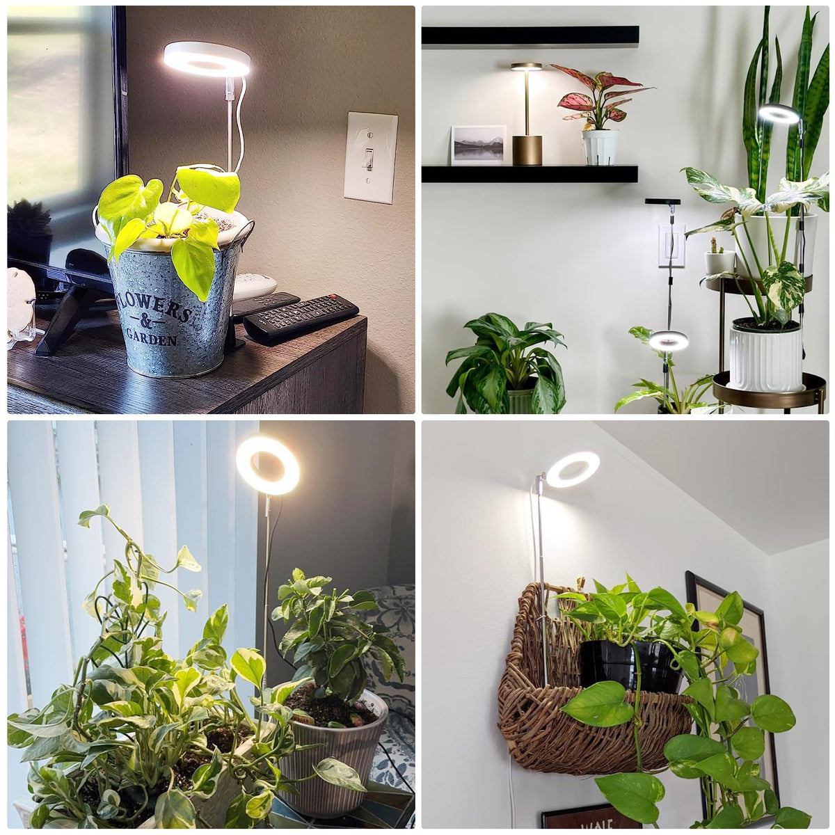 Aokrean Grow Light full-spectrum mode offers versatile lighting for healthy growth.