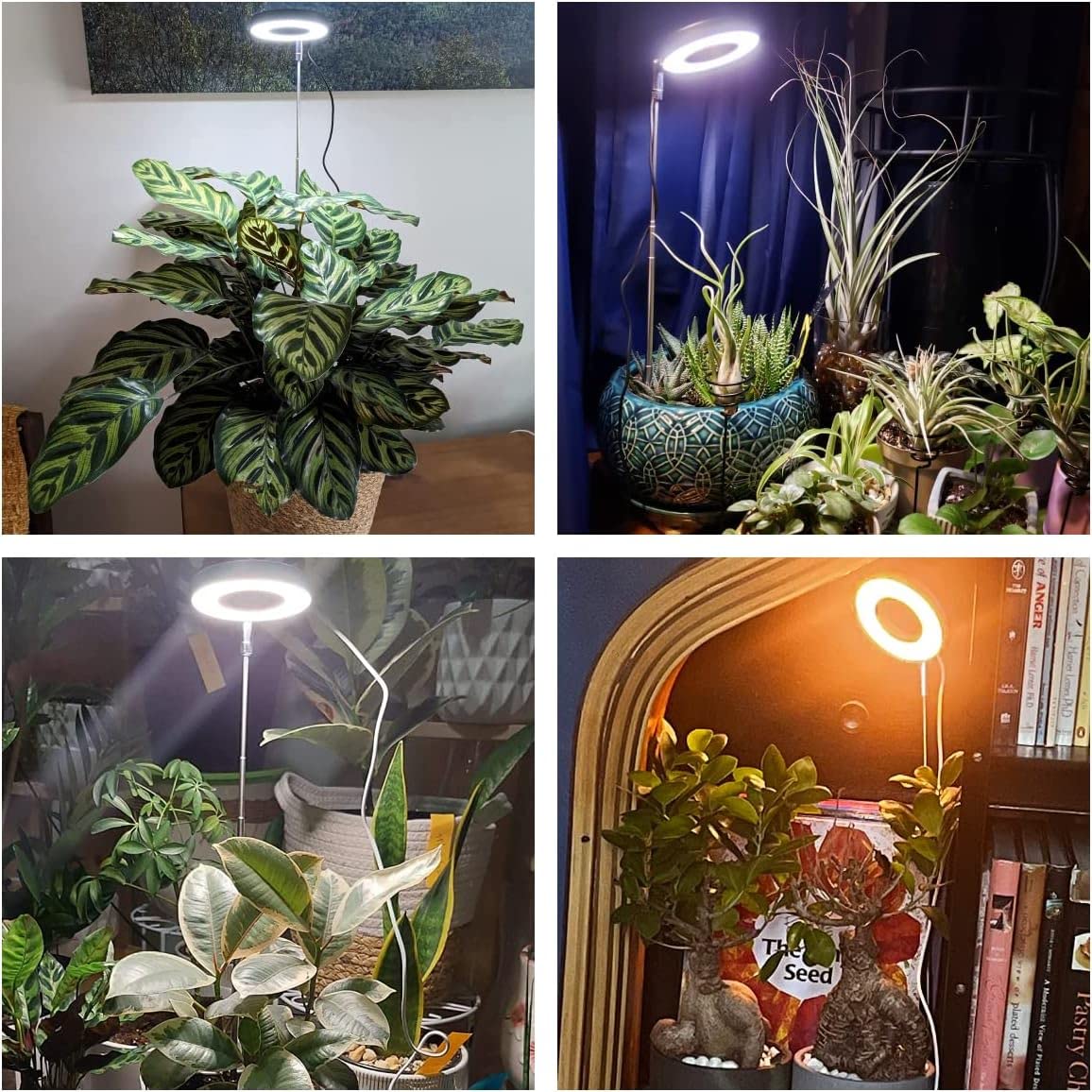 Aokrean Grow Light height adjustment supports tall and sprawling plants.