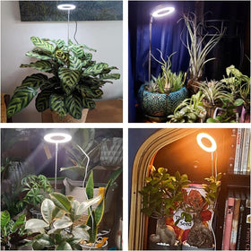 Aokrean Grow Light height adjustment supports tall and sprawling plants.