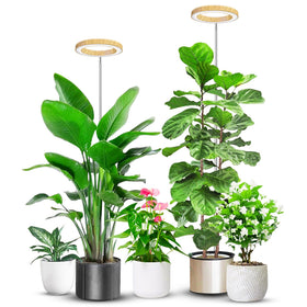 Aokrean grow light with wood grain ring for durable indoor styling and even lighting.