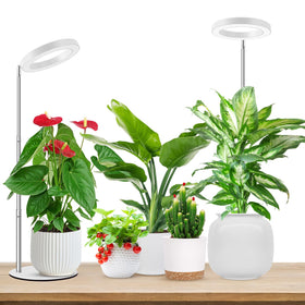 Aokrean grow lights base and pole assembly improves stability for indoor plant growth