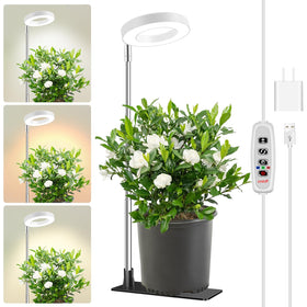 Aokrean Grow Lights full-spectrum panel boosts indoor seedling growth with balanced spectrum