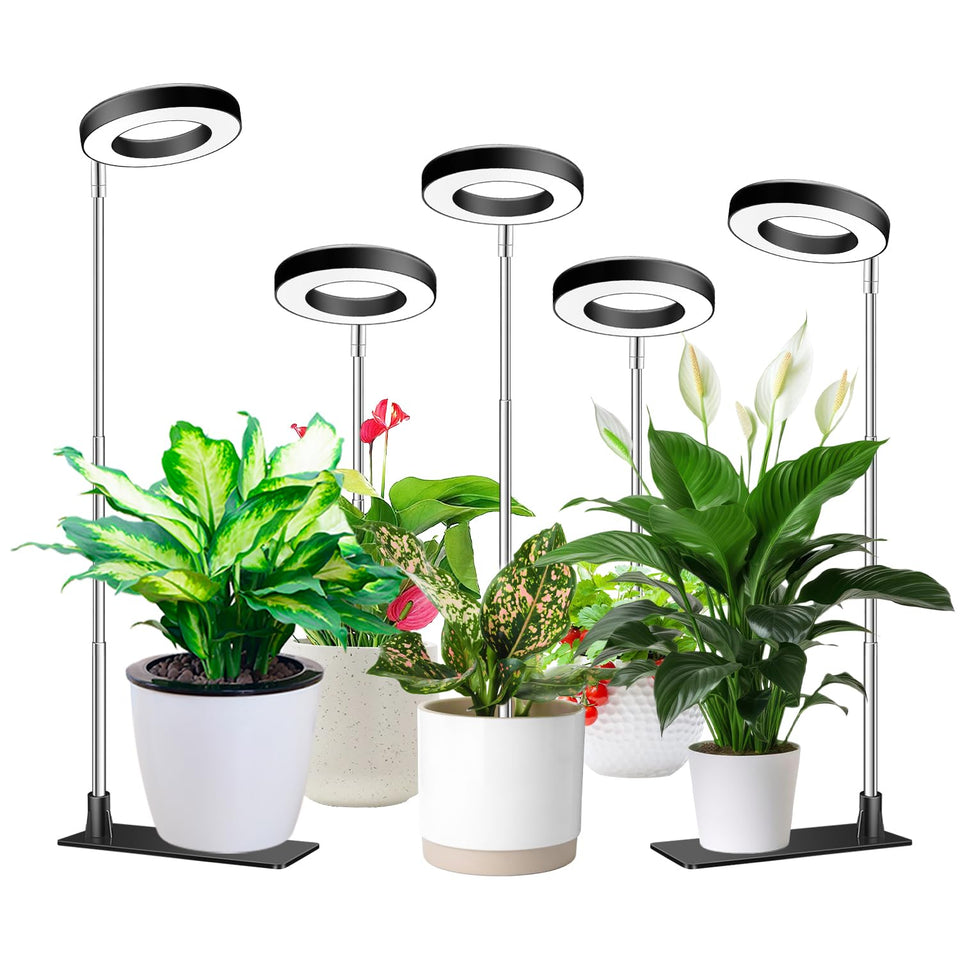Aokrean Halo Grow Light base supports stable indoor planting setup.